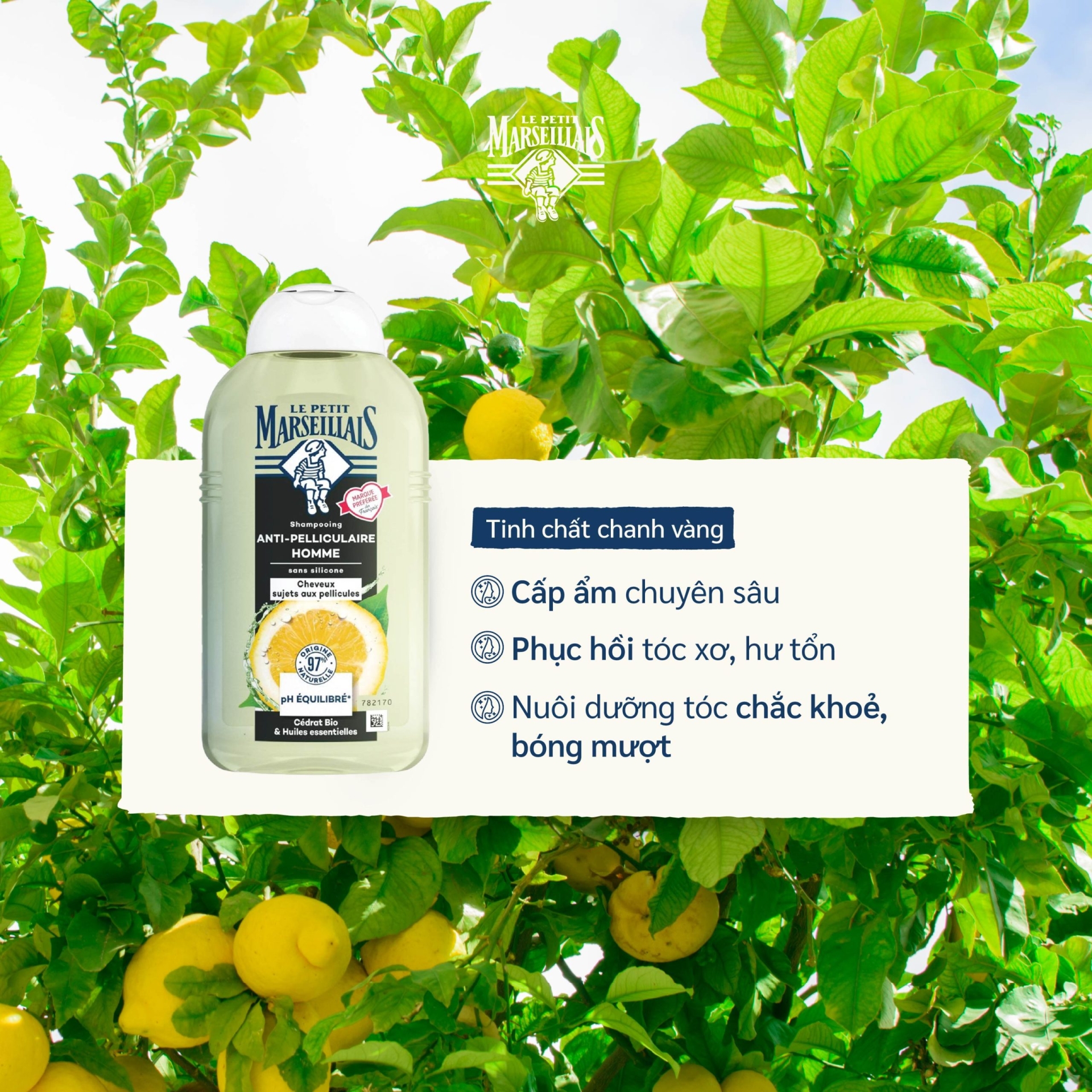 Dầu Gội Le Petit Marseillais - Hương Chanh Vàng - Dưỡng Ẩm Nhẹ Với Chiết Xuất Hữu Cơ 250ml