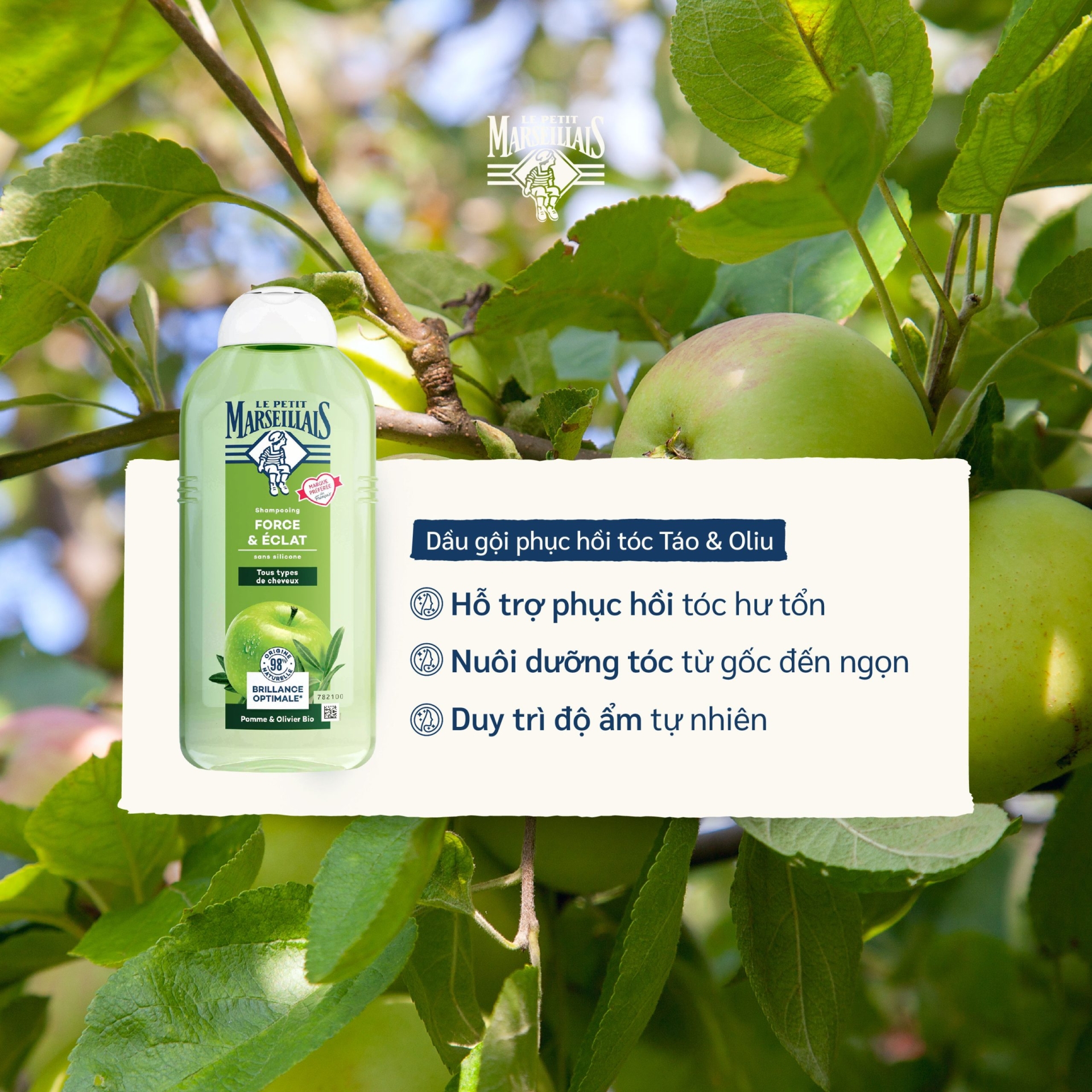 Dầu Gội Le Petit Marseillais - Hương Táo, Ô liu - Dưỡng Ẩm Nhẹ Với Chiết Xuất Hữu Cơ 250ml