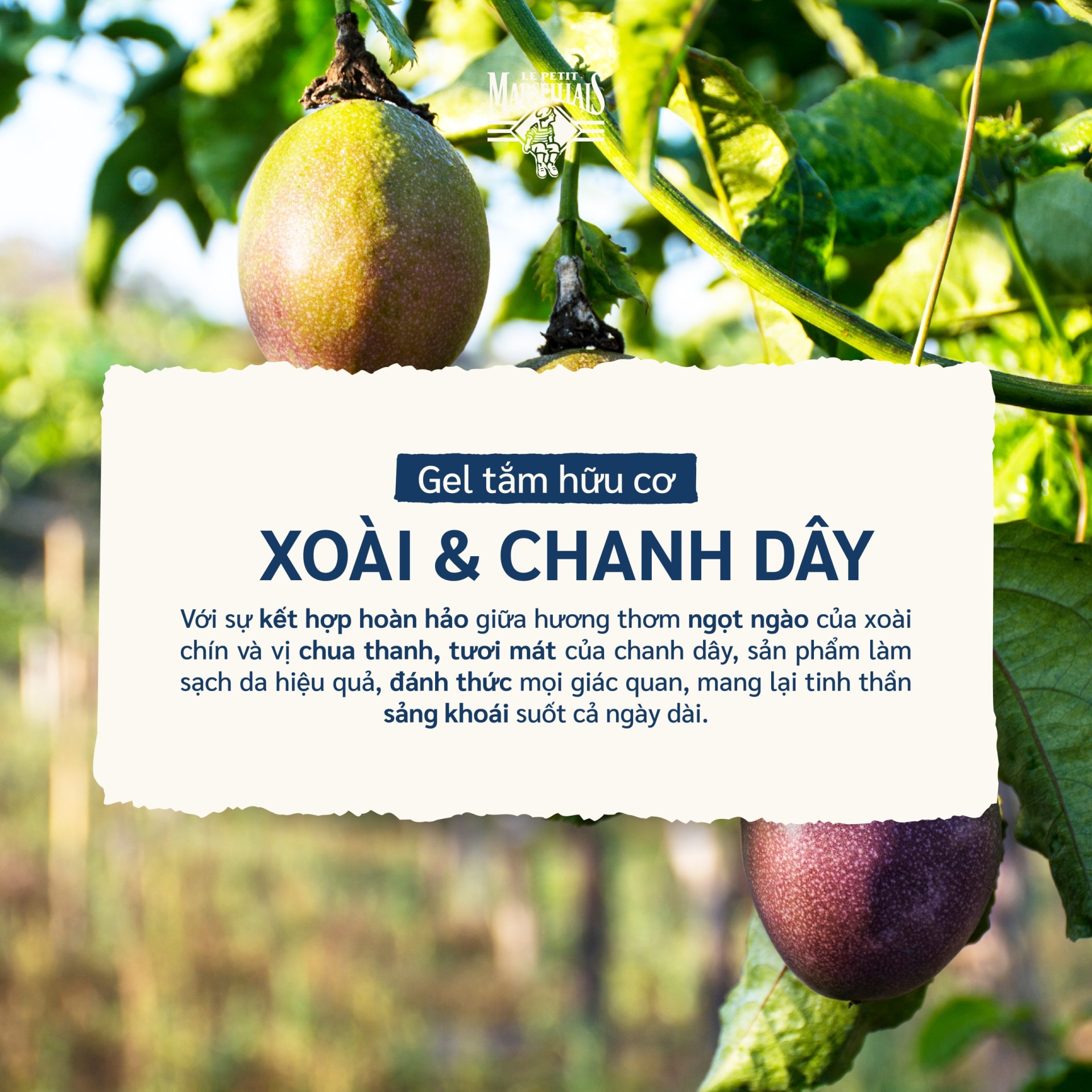 Sữa Tắm Và Ngâm Bồn Dạng Kem Le Petit Marseillais - Hương Xoài & Chanh dây - Dịu Nhẹ 650ml